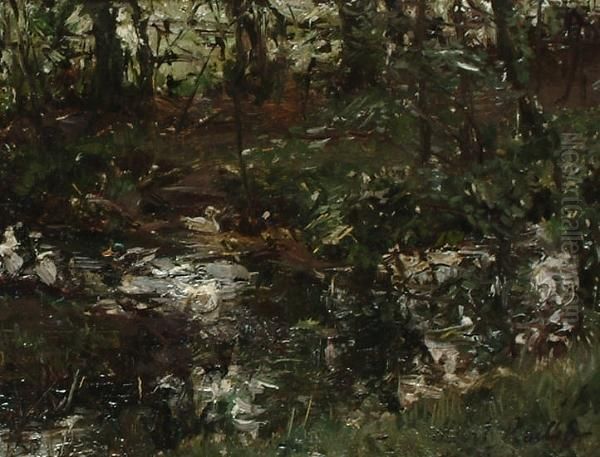 Ducks In A Pond. Oil Painting by Albert Roelofs