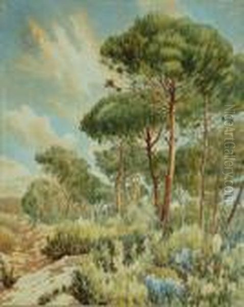 Paisaje Montana Oil Painting by Lluis Roig Ensenat