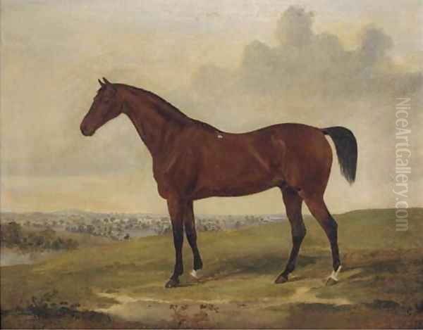 Bloomsbury, a bay racehorse Oil Painting by David of York Dalby