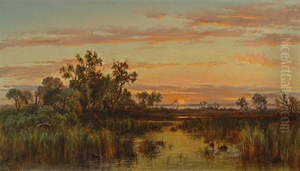 Haunt Of The Black Swans, Sunset, Gippsland River Oil Painting by Charles Rolando