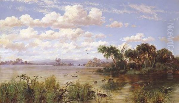 Swans On Lake Oil Painting by Charles Rolando