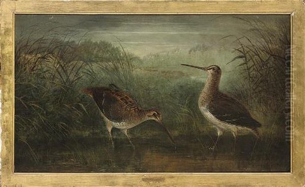 Watering Snipe Oil Painting by Henry Leonidas Rolfe