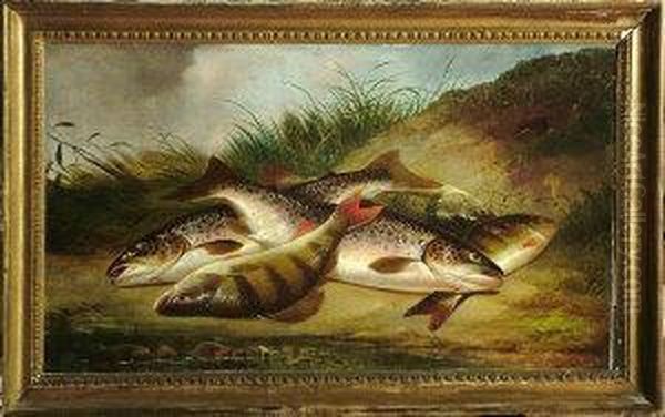 Trout And Perch On A Riverbank Oil Painting by Henry Leonidas Rolfe