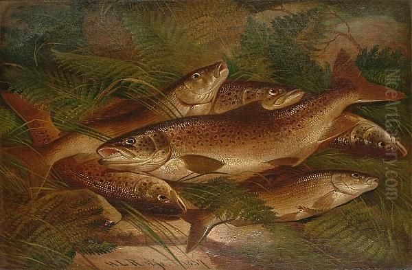 A Still Life Of Brown Trout Amongst Ferns Oil Painting by Henry Leonidas Rolfe