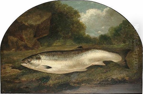 'just Caught', A Still Life Of A Salmon On A Bank Oil Painting by Henry Leonidas Rolfe