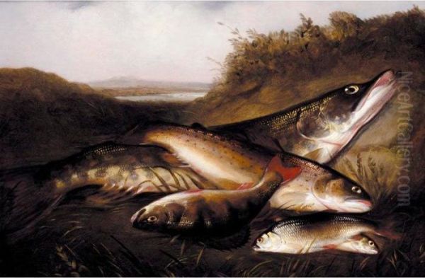 A Pike, A Trout, A Perch And Two Rudd; Rainbow Trout Oil Painting by Henry Leonidas Rolfe