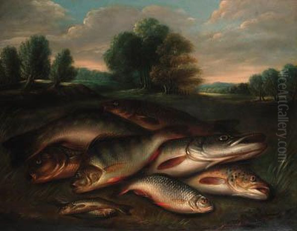 A Pike, A Tench, Salmon, Trout And Perch On A Riverbank Oil Painting by Henry Leonidas Rolfe