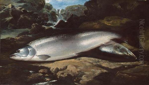 Salmon On A Rock By A River Oil Painting by Henry Leonidas Rolfe