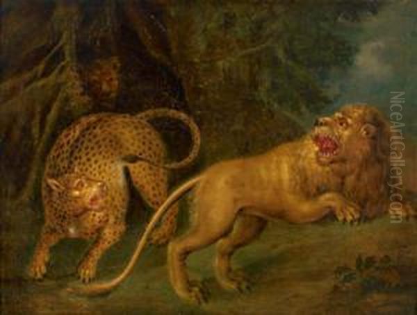 Leopard Und Lowe Oil Painting by Johann Melchior Roos