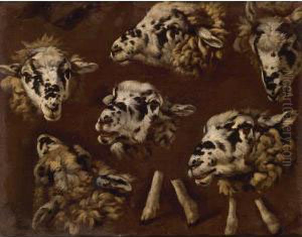 A Study Of Heads Of Sheep Oil Painting by Johann Melchior Roos