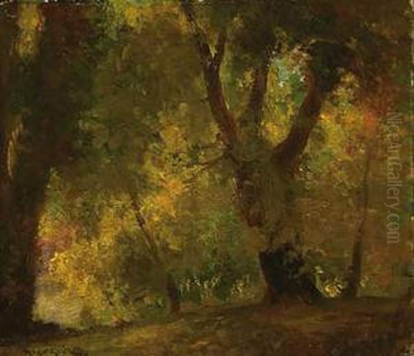 Bosque Oil Painting by Antoni Ros Y Guell