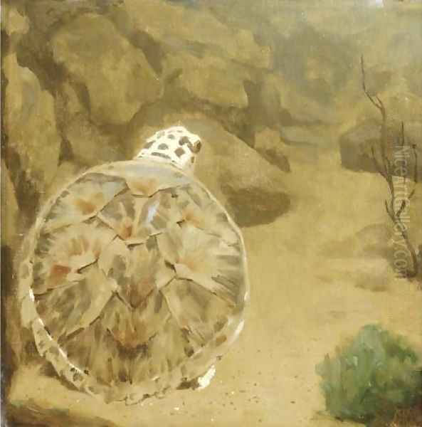 A turtle Oil Painting by Gerrit Willem Dijsselhof