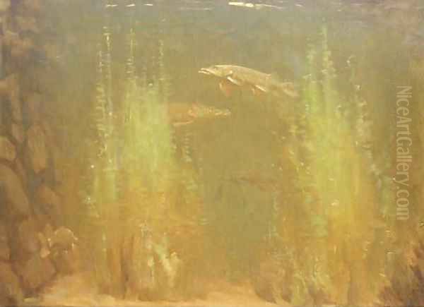 Snoeken pike swimming Oil Painting by Gerrit Willem Dijsselhof