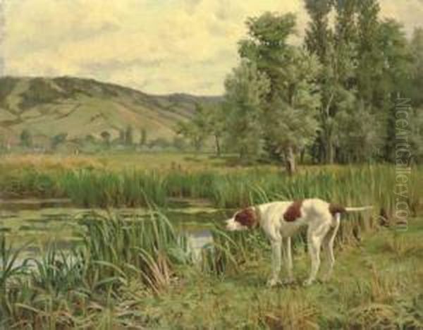 A Pointer Marking Wildfowl In The Reeds Oil Painting by Percival Leonard Rosseau