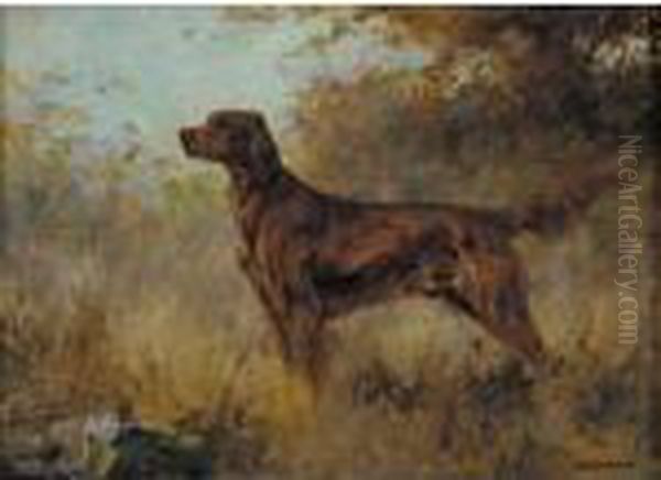 A Red Setter Oil Painting by Percival Leonard Rosseau