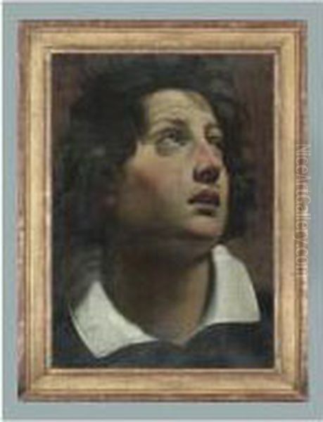 Portrait De Jeune Homme Vu De 
Trois-quarts Etude De Figure Drapee A La Sanguine Au Verso [, Head Of A 
Youth Looking To Upper Right, Oil On Paper ; On The Reverse, A Red Chalk
 Study Of A Draped Figure] Oil Painting by Matteo Rosselli