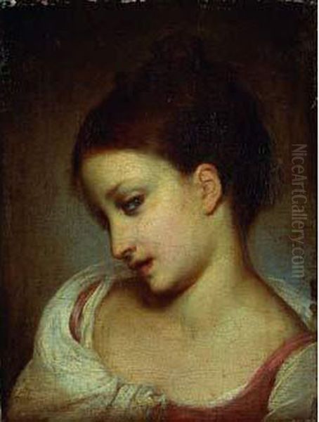 Portrait De Jeune Fille En Buste Oil Painting by Pietro Antonio Rotari