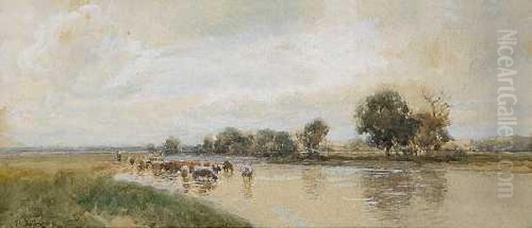 Kuhherde In Der Furt Oil Painting by Philipp Roth