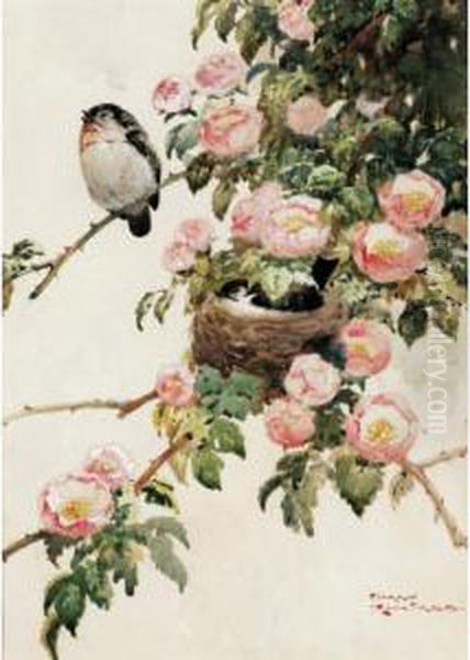 Finches Oil Painting by Harry Rountree