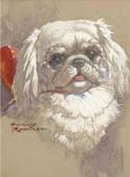 The Head Of A Pekingese Oil Painting by Harry Rountree