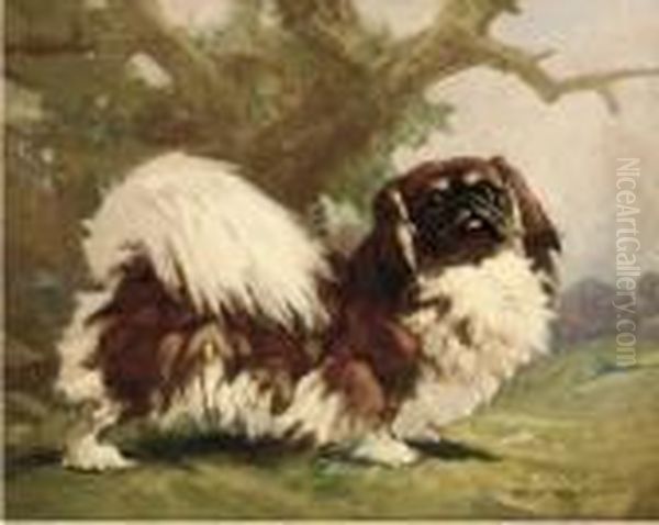 A Pekingese Oil Painting by Harry Rountree