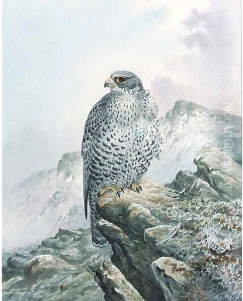 A falcon on a rocky outcrop Oil Painting by Carl Donner