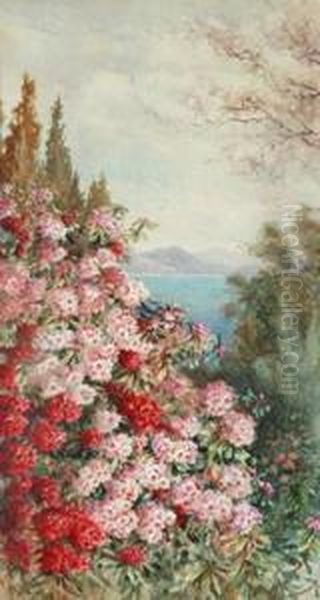 Beachside Rhododendrons Oil Painting by Marian Ellis Rowan