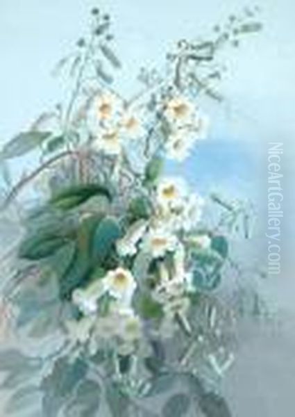 White Trumpet Flowers Oil Painting by Marian Ellis Rowan