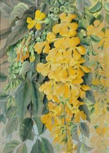 Yellow Trumpet Vine Oil Painting by Marian Ellis Rowan