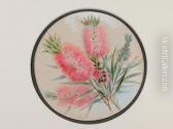 Callistemon Oil Painting by Marian Ellis Rowan