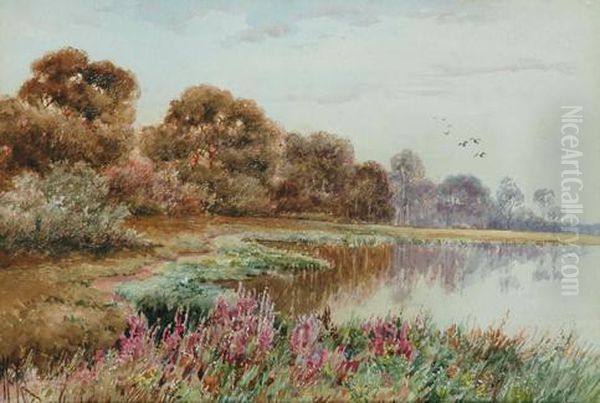 Colombo Creek Oil Painting by Marian Ellis Rowan