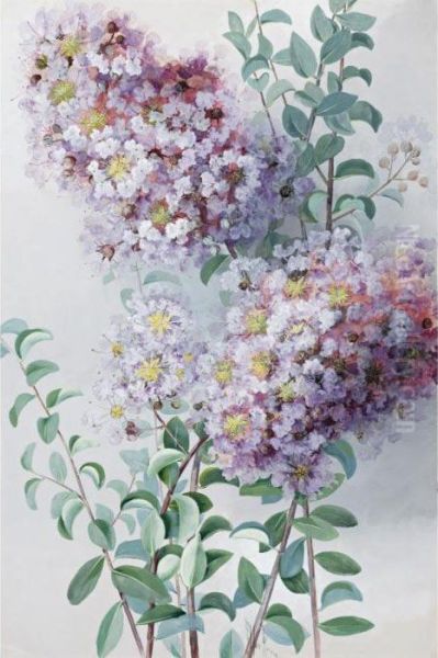 Crepe Myrtle Oil Painting by Marian Ellis Rowan