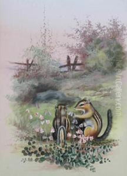 Squirrels And Wildflowers In A Field Oil Painting by Marian Ellis Rowan