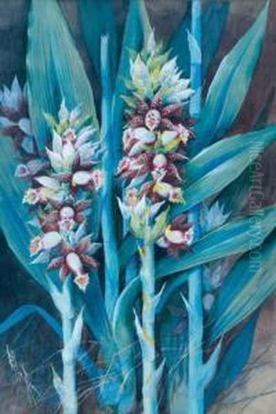 Ginger Plant Oil Painting by Marian Ellis Rowan