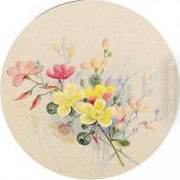 A Folio Of Watercolours Of Australian Flowers Oil Painting by Marian Ellis Rowan