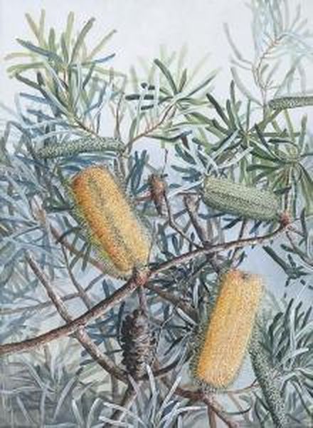 Banksias Oil Painting by Marian Ellis Rowan