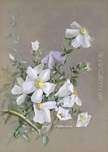 Roses Oil Painting by Marian Ellis Rowan