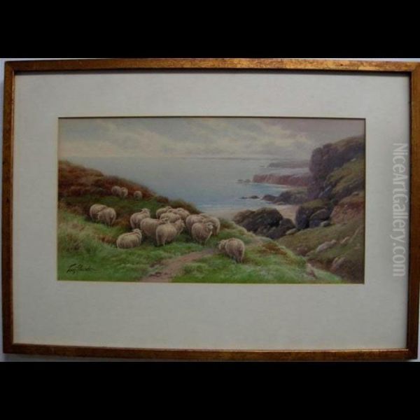 Coastal View With Sheep Oil Painting by Thomas, Tom Rowden