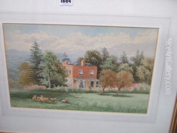 Sheep Before A Country House Oil Painting by Thomas, Tom Rowden