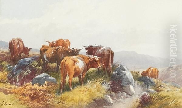 Cattle Oil Painting by Thomas, Tom Rowden