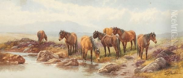 At Two Bridges, Dartmoor Oil Painting by Thomas, Tom Rowden