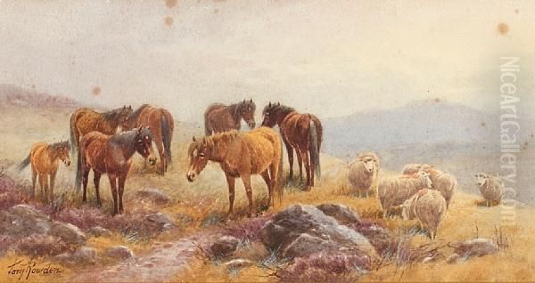 Dartmoor Ponies And Sheep Oil Painting by Thomas, Tom Rowden