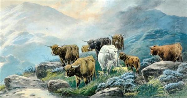 Highland Oil Painting by Thomas, Tom Rowden