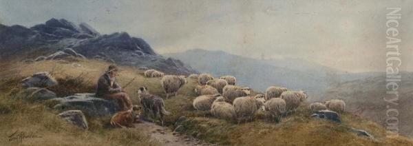 Herder Met Zijn Schapen Inheuvellandschap Oil Painting by Thomas, Tom Rowden