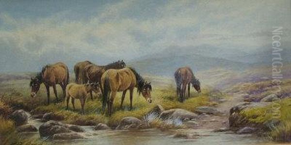 Moorland Ponies. Oil Painting by Thomas, Tom Rowden