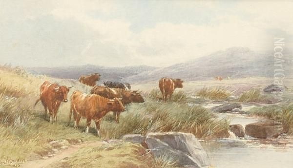 Cattle On Dartmoor Oil Painting by Thomas, Tom Rowden