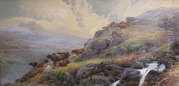 Cattle On A Dartmoor Tor Oil Painting by Thomas, Tom Rowden