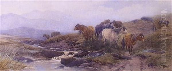 Dartmoor Ponies Besidea Stream Oil Painting by Thomas, Tom Rowden