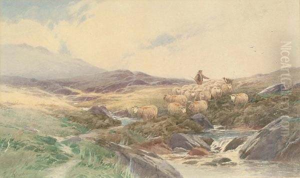 Cattle In Highland Landscape Oil Painting by Thomas, Tom Rowden