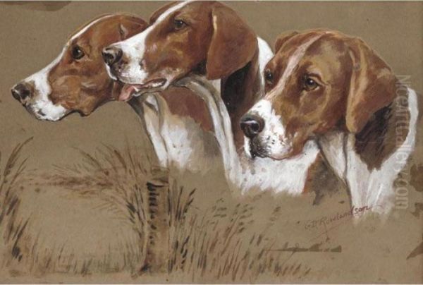 Three Hounds; A Spaniel Oil Painting by George Derville Rowlandson